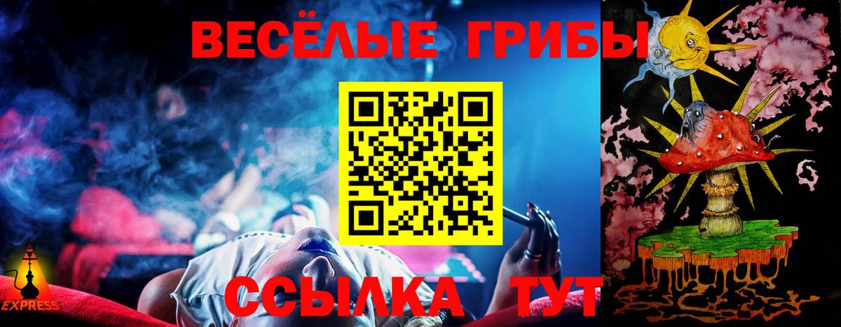 Галлюциногенные грибы мухоморы Кандалакша