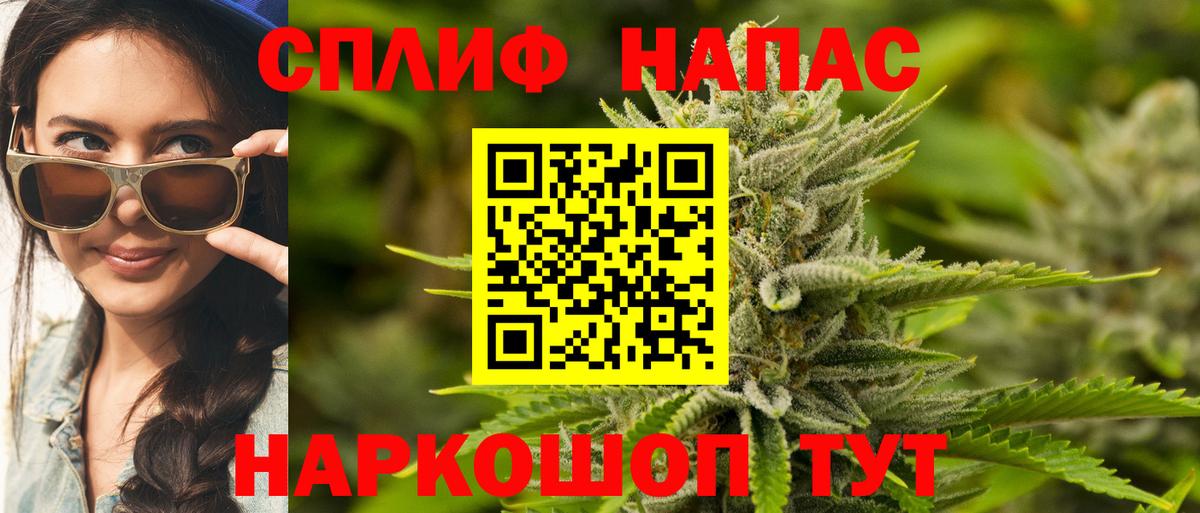 Бошки Шишки семена Кандалакша